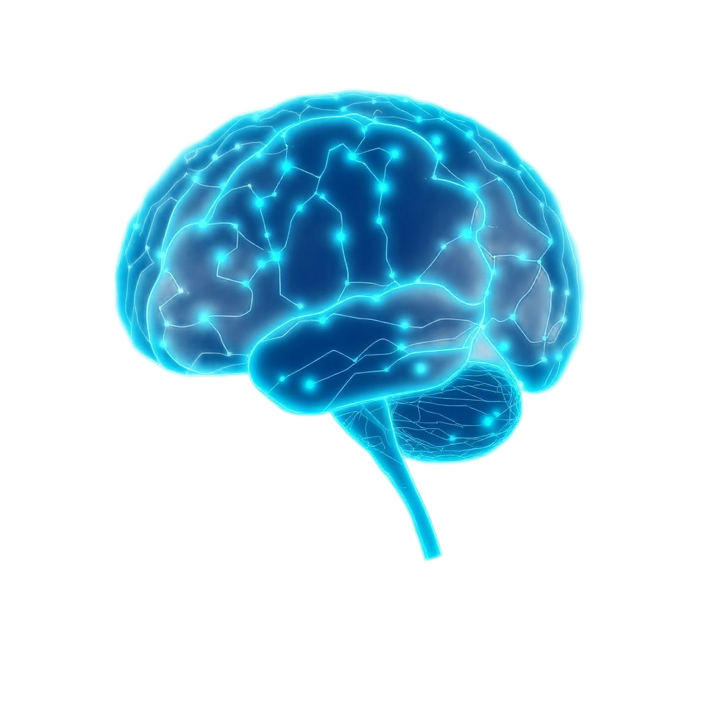 Holographic visualisation of neural signal mapping